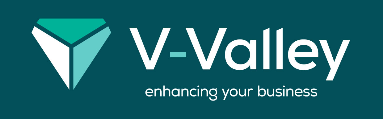 logo_vvalley_big